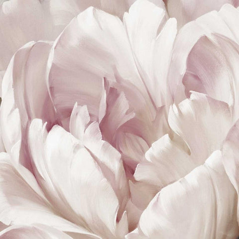 Intimate Blush I White Modern Wood Framed Art Print by Levashov, Igor