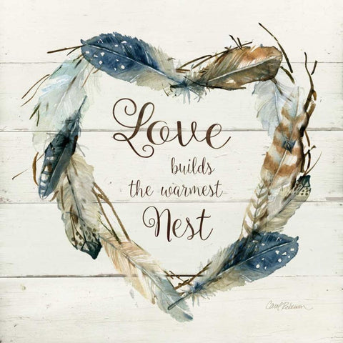 Feather Love Nest White Modern Wood Framed Art Print with Double Matting by Robinson, Carol