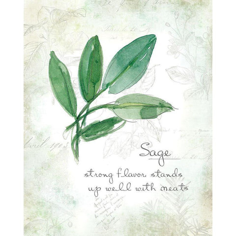 Fresh Sage White Modern Wood Framed Art Print by Robinson, Carol