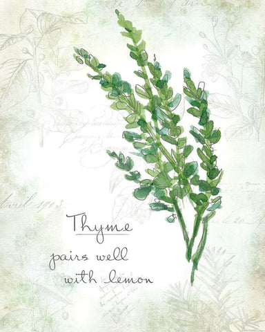 Fresh Thyme White Modern Wood Framed Art Print with Double Matting by Robinson, Carol