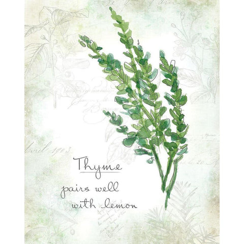 Fresh Thyme White Modern Wood Framed Art Print by Robinson, Carol