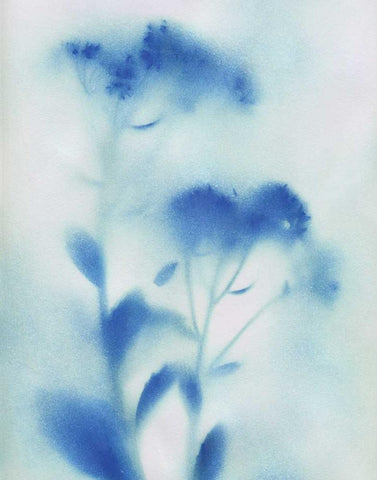 Misty Meadow Flowers White Modern Wood Framed Art Print with Double Matting by Craven, Katrina