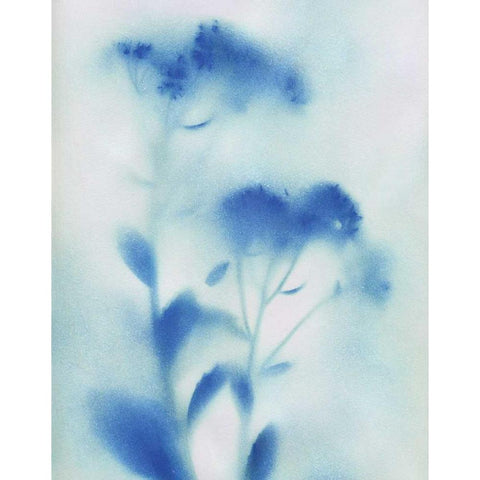 Misty Meadow Flowers Black Modern Wood Framed Art Print by Craven, Katrina