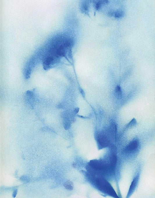 Image Only