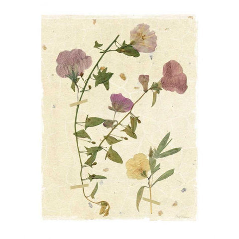 Pressed Morning Black Modern Wood Framed Art Print with Double Matting by Robinson, Carol