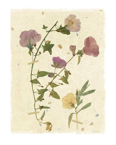 Pressed Morning White Modern Wood Framed Art Print with Double Matting by Robinson, Carol