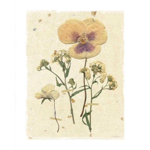 Pressed Pansy Black Modern Wood Framed Art Print by Robinson, Carol