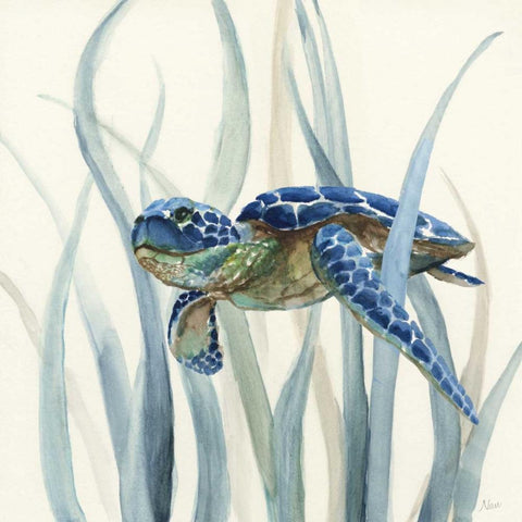 Turtle in Seagrass II White Modern Wood Framed Art Print by Nan