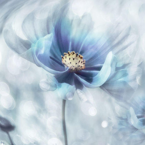 Feeling of Blue I White Modern Wood Framed Art Print by Weisz, Irene