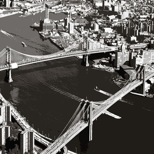 Image Only