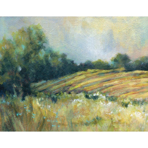 Pastoral Field Black Modern Wood Framed Art Print by Robinson, Carol