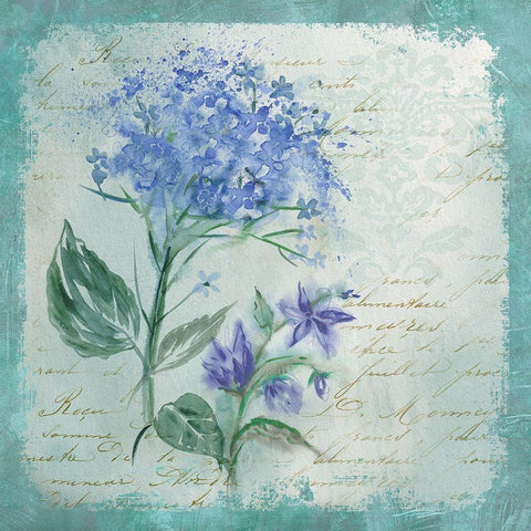 Hydrangea Medley White Modern Wood Framed Art Print by Robinson, Carol