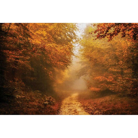 Autumnal Walk Black Modern Wood Framed Art Print by Van de Goor, Lars