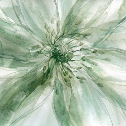 Macro Sage Flower Black Modern Wood Framed Art Print with Double Matting by Robinson, Carol