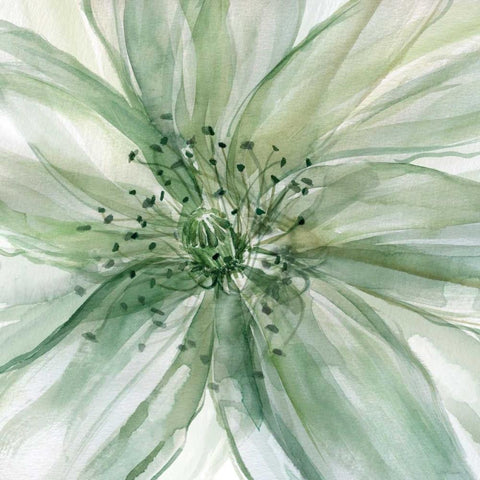 Macro Sage Flower White Modern Wood Framed Art Print by Robinson, Carol