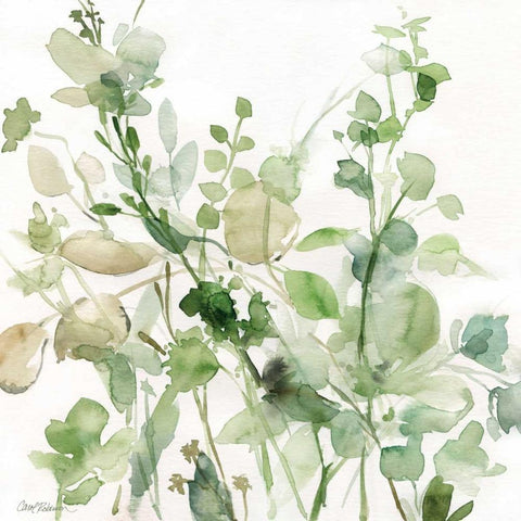 Sage Garden II Black Modern Wood Framed Art Print with Double Matting by Robinson, Carol