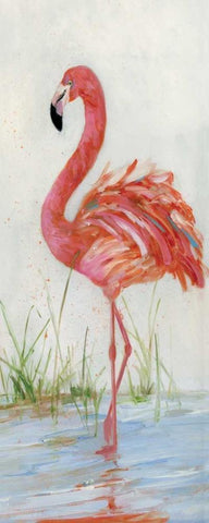 Flamingo II White Modern Wood Framed Art Print with Double Matting by Swatland, Sally