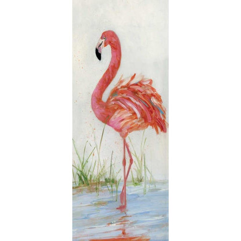 Flamingo II Black Modern Wood Framed Art Print by Swatland, Sally