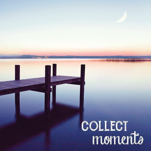 Collect Moments White Modern Wood Framed Art Print by Delimont, Danita