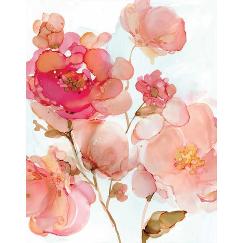 Vivid Peonies Black Modern Wood Framed Art Print with Double Matting by Robinson, Carol