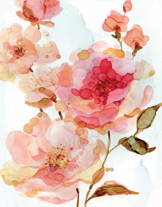 Image Only