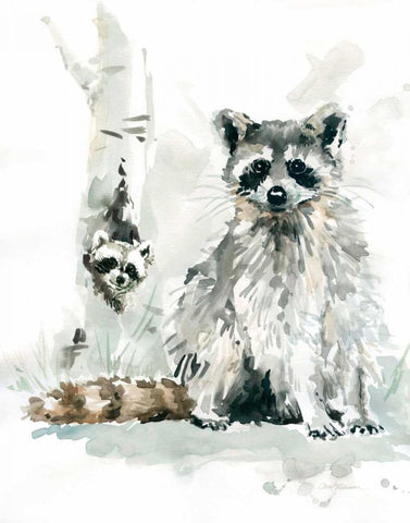 Raccoon and Baby White Modern Wood Framed Art Print with Double Matting by Robinson, Carol