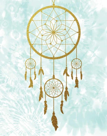 Dreamcatcher Black Ornate Wood Framed Art Print with Double Matting by Murray, Amanda