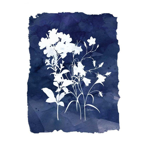 Indigo Botanical Black Modern Wood Framed Art Print with Double Matting by Robinson, Carol