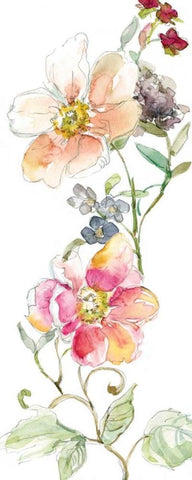 Trailing Blooms II White Modern Wood Framed Art Print with Double Matting by Robinson, Carol