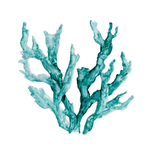 Sea Coral II White Modern Wood Framed Art Print with Double Matting by Robinson, Carol