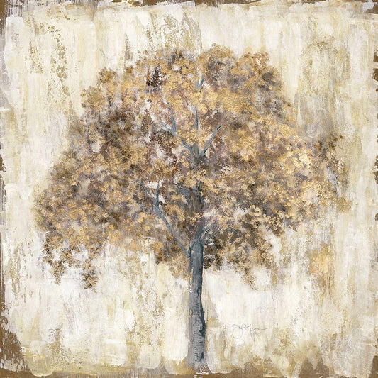 Image Only