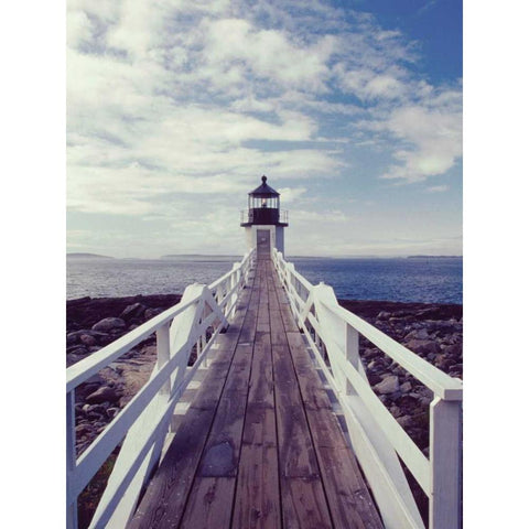 Lighthouse Path Black Modern Wood Framed Art Print by Delimont, Danita