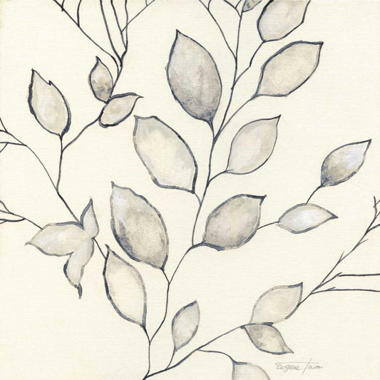 Image Only