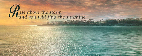 Rise Above Black Ornate Wood Framed Art Print with Double Matting by Calascibetta, Mike