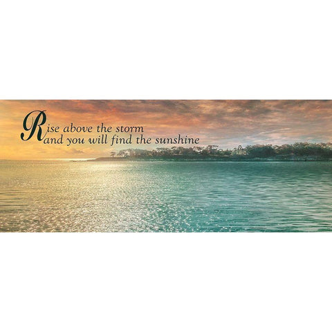 Rise Above White Modern Wood Framed Art Print by Calascibetta, Mike