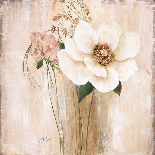 Image Only