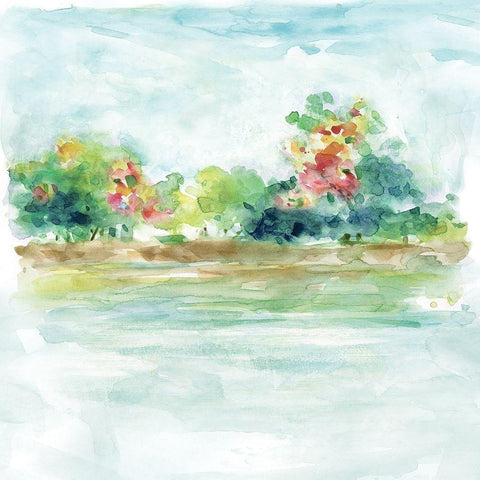 Water Garden White Modern Wood Framed Art Print with Double Matting by Robinson, Carol