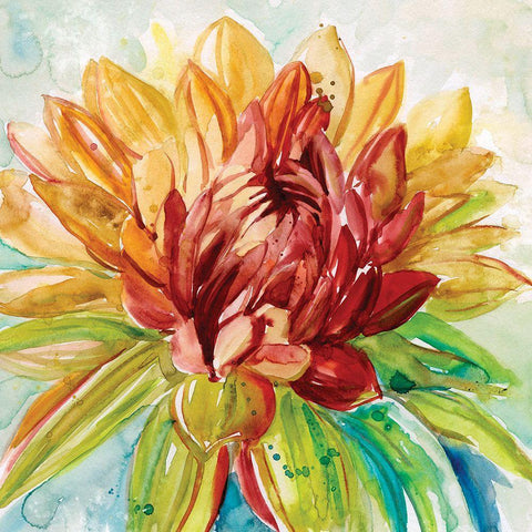 Rainbow Dahlia Black Ornate Wood Framed Art Print with Double Matting by Robinson, Carol