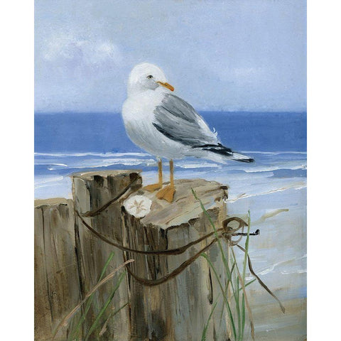 Keeping Watch I White Modern Wood Framed Art Print by Swatland, Sally