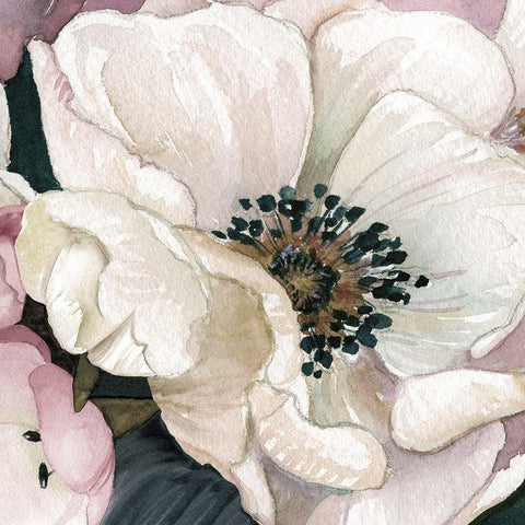 Anemone Study III White Modern Wood Framed Art Print with Double Matting by Robinson, Carol