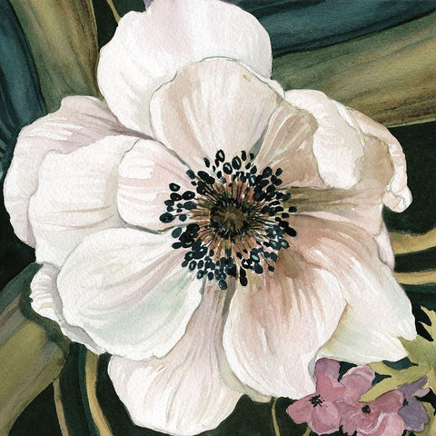 Anemone Study IV White Modern Wood Framed Art Print with Double Matting by Robinson, Carol