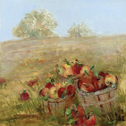 Apple Picking I White Modern Wood Framed Art Print by Swatland, Sally