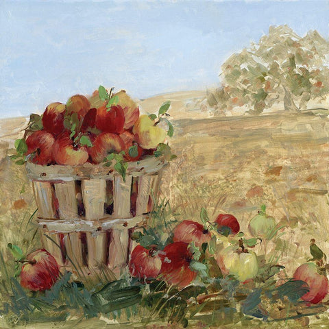 Apple Picking III White Modern Wood Framed Art Print by Swatland, Sally