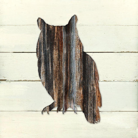 Woodland Owl Black Modern Wood Framed Art Print with Double Matting by Robinson, Carol