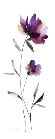 Perfect Purple II White Modern Wood Framed Art Print with Double Matting by Robinson, Carol