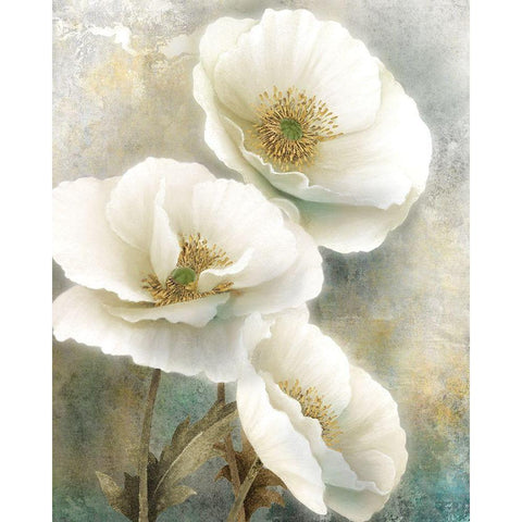 Soft Spring I Black Modern Wood Framed Art Print by Knutsen, Conrad
