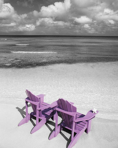 Beach Getaway Black Ornate Wood Framed Art Print with Double Matting by Delimont, Danita