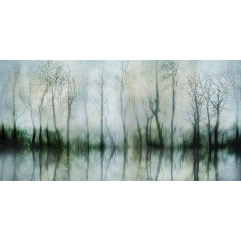 Mirrored Pond Gold Ornate Wood Framed Art Print with Double Matting by Weisz, Irene