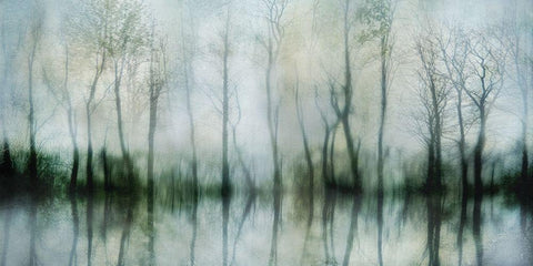Mirrored Pond White Modern Wood Framed Art Print with Double Matting by Weisz, Irene