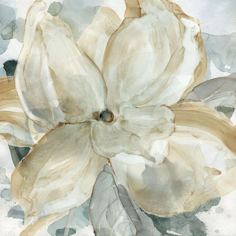 Belle Bloom White Modern Wood Framed Art Print with Double Matting by Robinson, Carol